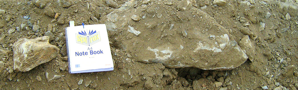 Photo of poor subgrade from example above.